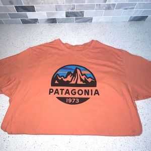Patagonia Tshirt